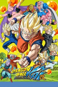 Download Dragon Ball Z Kai (Season 1) (E18 ADDED) Dual Audio [Hindi-English] Series 720p WEB DL